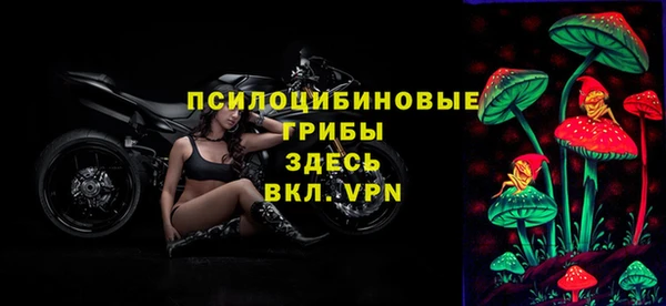 стаф Баксан