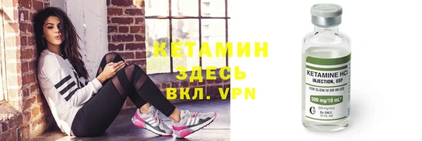 шишки Аркадак
