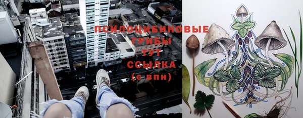 стаф Баксан