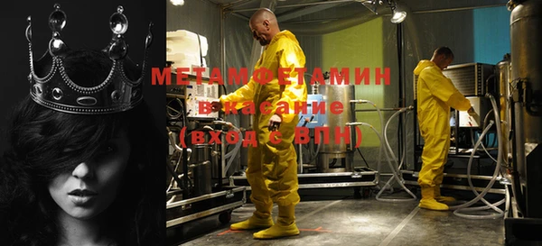 шишки Аркадак