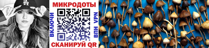 Галлюциногенные грибы мухоморы Омутнинск